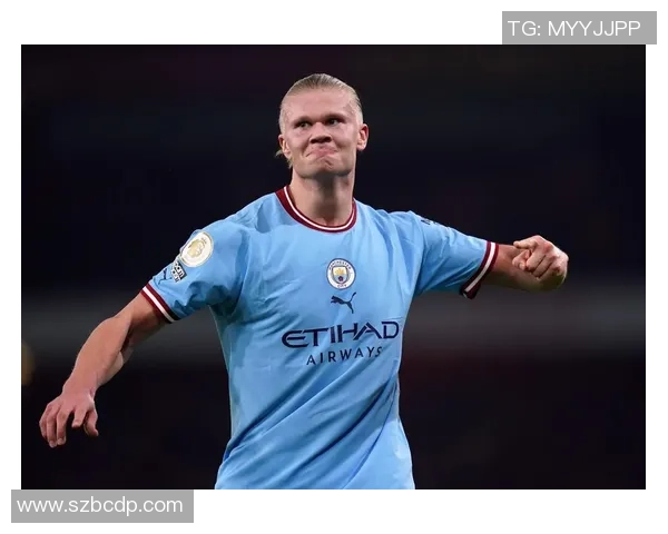 纵览绿茵豪杰风采共赏世界足球巨星魅力图谱